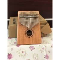 Đàn Kalimba GT-910