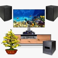 Dàn karaoke AT026 (Bộ loa SE M-F3 + Vang số JBL KX180A + Micro JBL VM300 + Quản lý nguồn Kiwi S803)