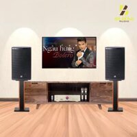 Dàn Karaoke Gia Đình : Loa SE-Audiotechnik CV-12i, Amply Sumico SU450