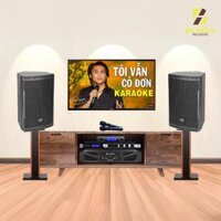 Dàn Karaoke Gia Đình : Loa SE-Audiotechnik V-12, Đẩy Crown XLi2500 ,Vang KX180A , Micro VM300