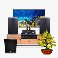 Dàn karaoke LA021 (MK EU-12 + MK SS 118 + MK LX 9004 + MK-8900 Max + MK S-800 Plus + MK P8 Pro)