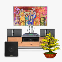 Dàn karaoke LA028 (Loa Wharfedale 5090 + Loa P'Sound SUB-12AL + Đẩy Wharfedale Pro CPD 1600 + Vang AAP S1000 + Micro AAP K900-F)
