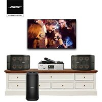 Dàn Karaoke SP009258: 1 cặp Loa Bose 802 series V, Ampli tích hợp micro không dây Paramax Euro A700, Bose SUB1 Bass Module