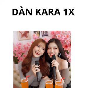 Dàn karaoke Vidia 1X