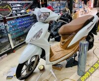 Dán keo xe SYM Shark mini 2021