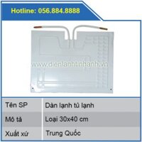 Dàn lạnh tủ lạnh 30x40cm