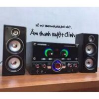 Dàn loa âm thanh Bluetooth cỡ lớn hát karaoke,