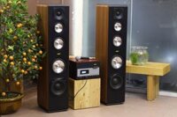 Dàn loa cây nghe nhạc gia đình: Gold Karaoke V2