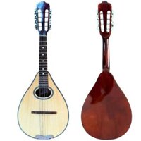 Đàn Mandolin 2 Két Phổ thông Việt Nam