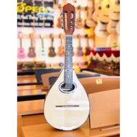 Đàn Mandolin 8 dây gỗ hồng đào