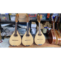 Đàn Mandolin gỗ hồng đào chỉ kè