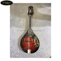 Đàn mandolin MA005