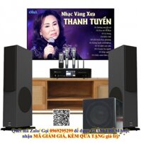 Dàn Nghe Nhạc Và Hát Karaoke Paramax 05 (Paramax D88 Luxury, Bksound DKA 5500, BKSound SW512)