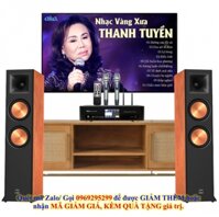 Dàn Nghe Nhạc Và Hát Karaoke Paramax 03 (Paramax EURO 8 Limited, Bksound DKA 5500)