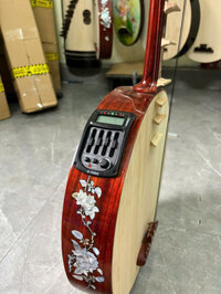 Đàn nguyệt DN189 gỗ hương lắp sẵn EQ Cũ