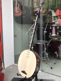 Đàn nguyệt gỗ cẩm 10 phím