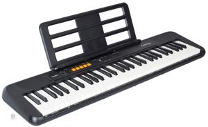 Đàn organ Casio CT-S100