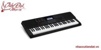 Đàn Organ Casio CT-X700