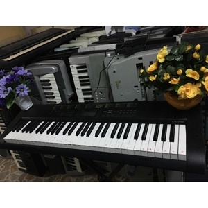 Đàn Organ Casio CTK-1100