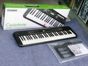 Đàn organ Casiotone LK-S250