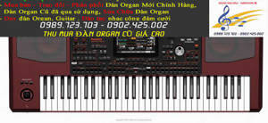 Đàn Organ Korg PA700