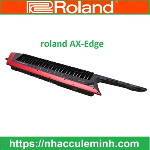 Đàn organ Roland AX-Edge
