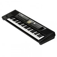 Đàn organ Roland BK5