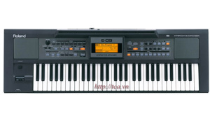Đàn Organ Roland E-09W