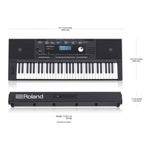 Đàn organ Roland EX20A