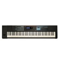 Đàn Organ Roland Juno-DS88