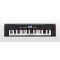 Đàn Organ Yamaha NP-V80 (76 phím) chơi organ và Piano