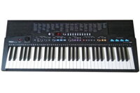 Đàn organ Yamaha PSR-310