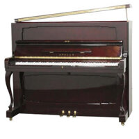 Đàn Piano Apollo A100D