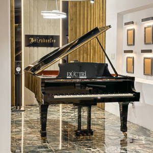 Đàn Piano Boston GP-193 PE