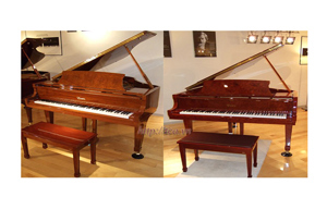 Đàn Piano Brandnew Essex EGP-155T