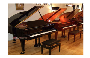 Đàn Piano Brandnew Essex EGP-161C