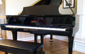 Đàn Piano Brandnew Essex EGP-173C