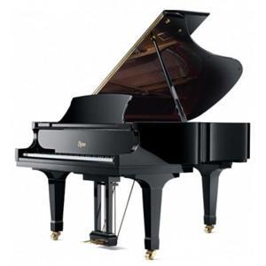 Đàn Piano Brandnew Essex EGP-173C