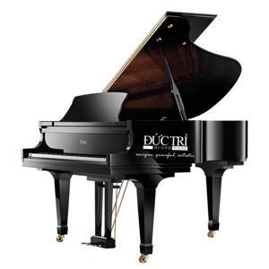 Đàn Piano Brandnew Essex EGP-173C