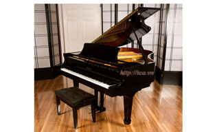 Đàn Piano Brandnew Essex EGP-155R