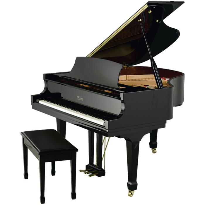 Đàn Piano Brandnew Essex EGP-155C