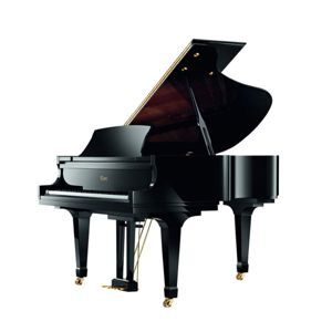 Đàn Piano Brandnew Essex EGP-173C