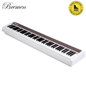 Đàn piano Bremen BM310