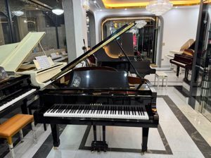 Đàn Piano C Series-C5 - Piano cơ