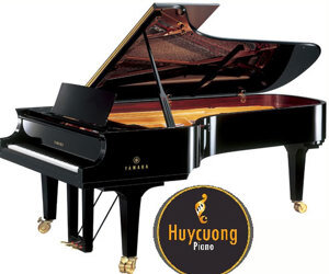 Đàn Piano C Series-C5 - Piano cơ
