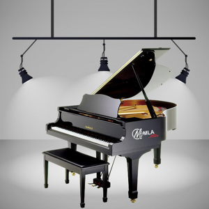 Đàn Piano C Series-C5 - Piano cơ