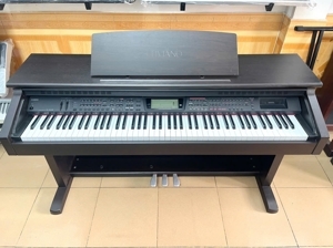 Đàn Piano Casio AL100R