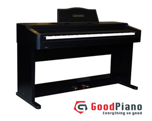 Đàn Piano Casio AP-30