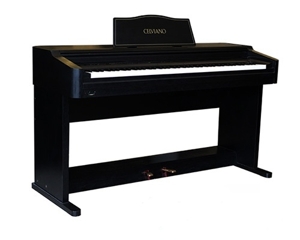 Đàn Piano Casio AP-30
