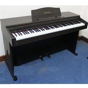 Đàn Piano Casio AP 75